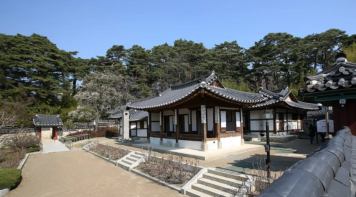 강릉 오죽헌의 기와 건물과 소나무 숲. 앞쪽 마당과 돌계단이 보인다